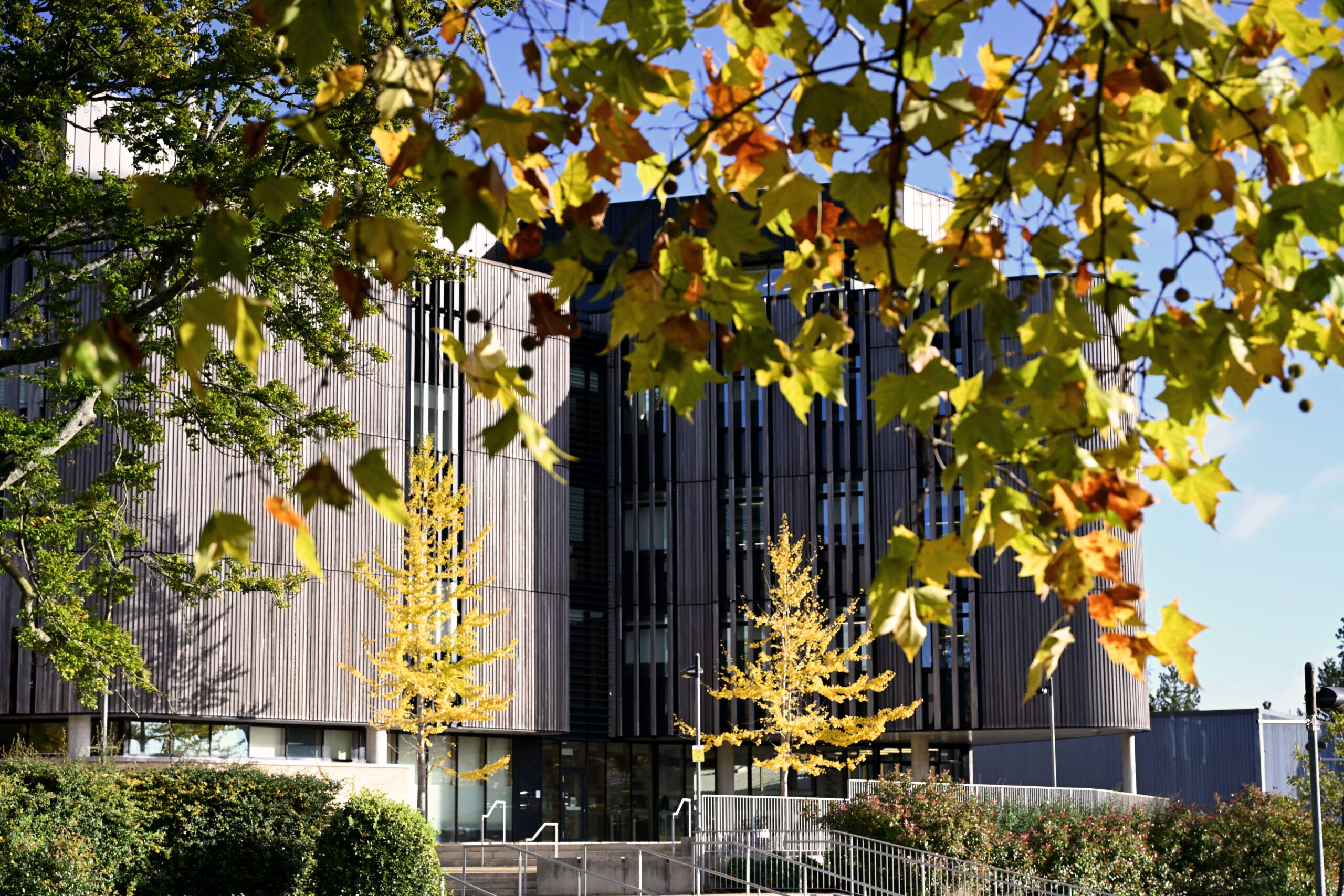 Our staff in the news