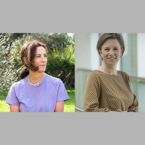 Medicines Security: UoS researchers inform House of Lords report