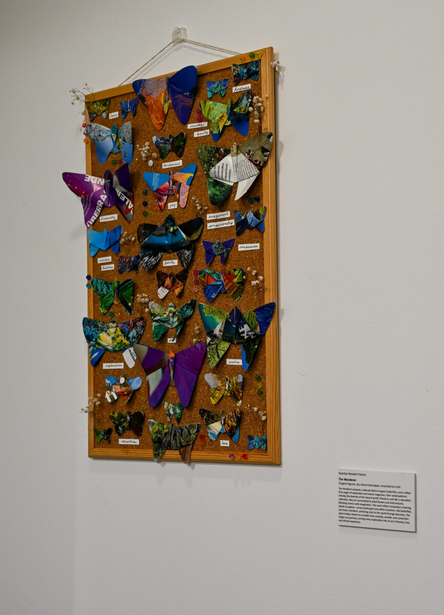 An artwork that shows origami butterflies arranged on a board as if in a display case. They are different sizes and brightly coloured