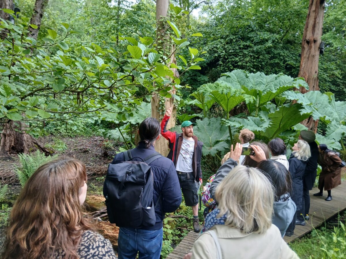 Digital Wellbeing walk