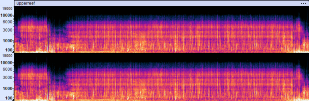 Image depicts a spectrogram of Cassia Wilson's sound-based submission of underwater reefs. 